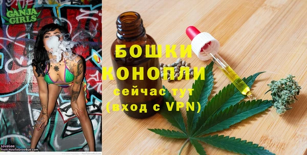 ешки Ельня