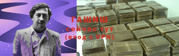 ешки Ельня