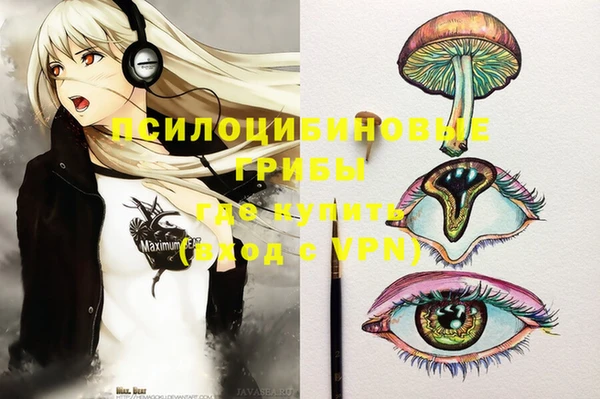 шишки Елабуга