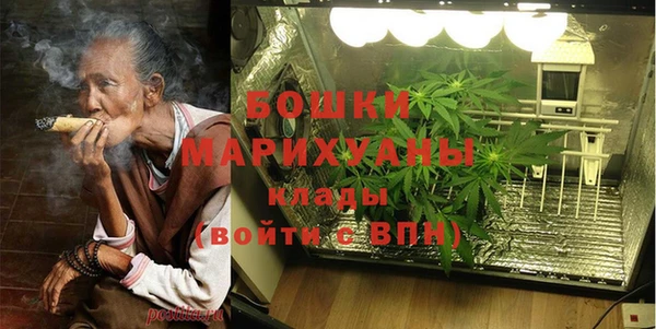 ешки Ельня